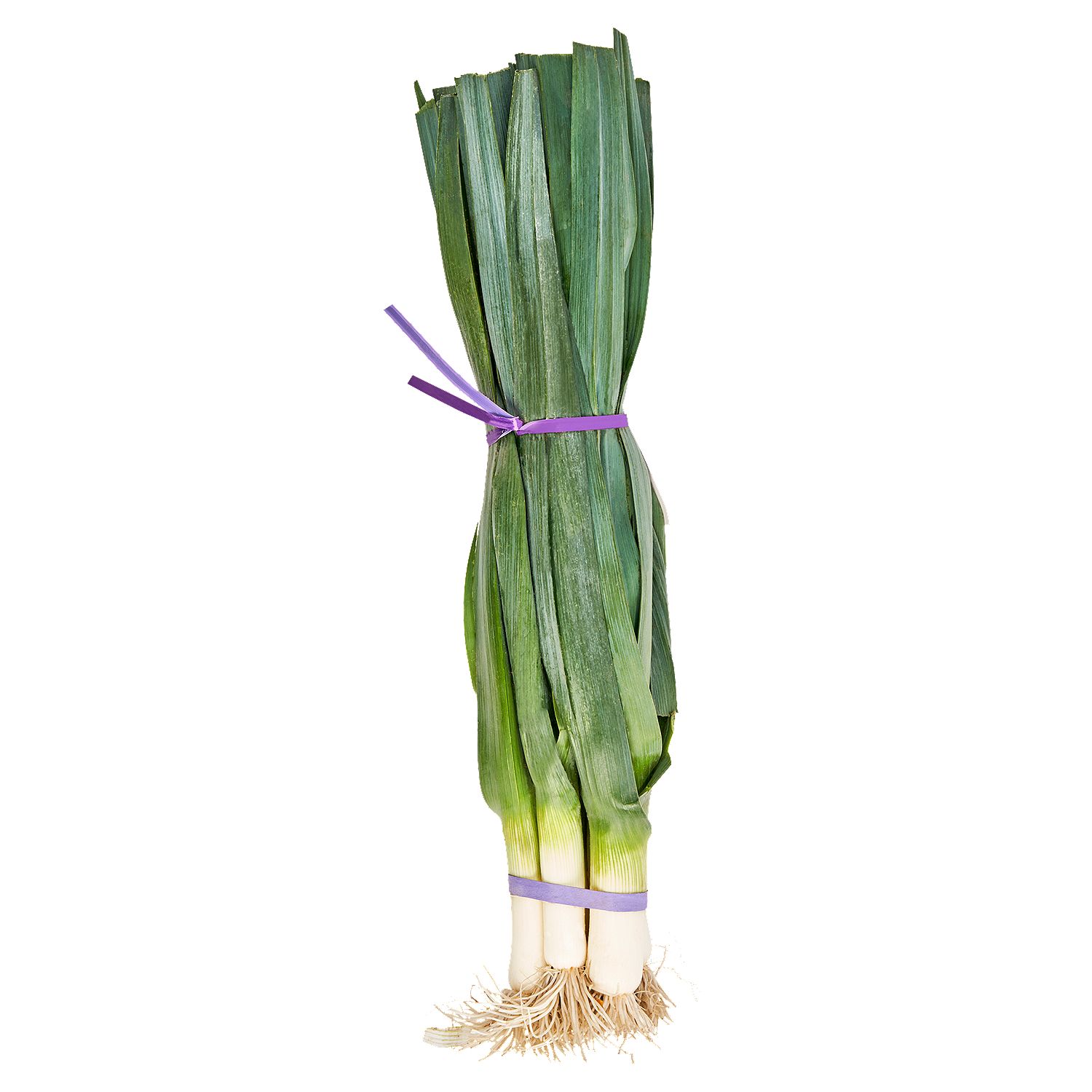 Fresh Organic Leeks, bunch