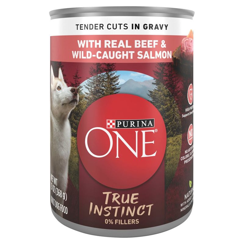 Purina ONE Tender Cuts in Gravy with Real Beef &amp; Wild-Caught Salmon Adult Dog Food, 13 oz