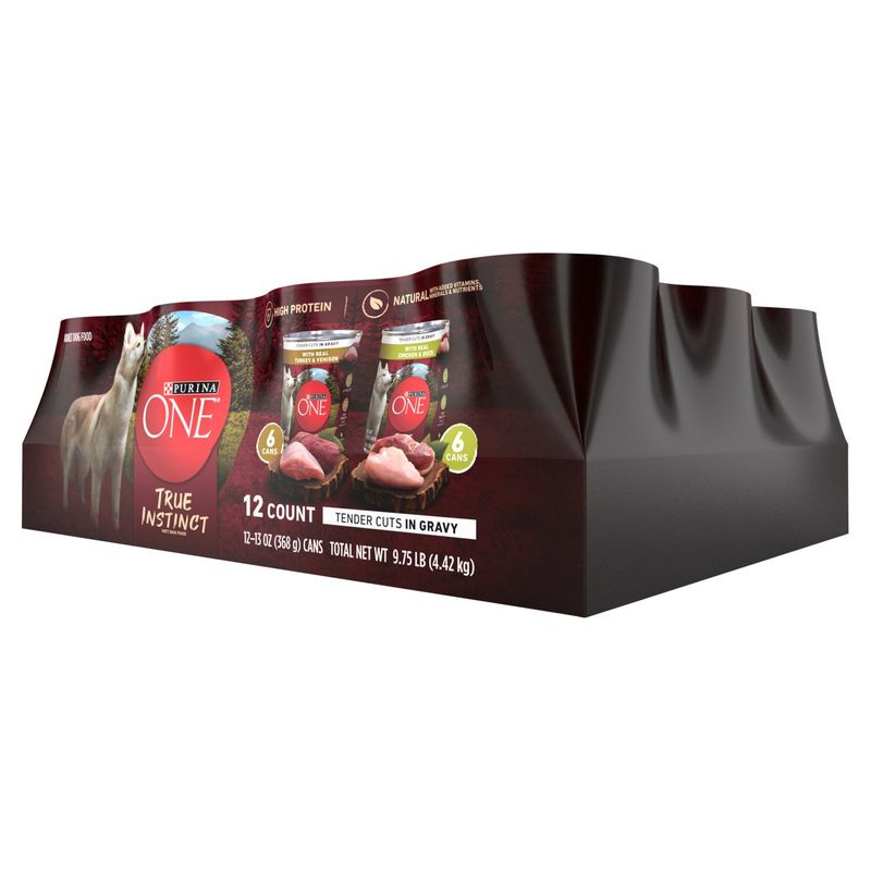 Purina ONE Tender Cuts in Gravy with Real Beef &amp; Wild-Caught Salmon Adult Dog Food, 13 oz