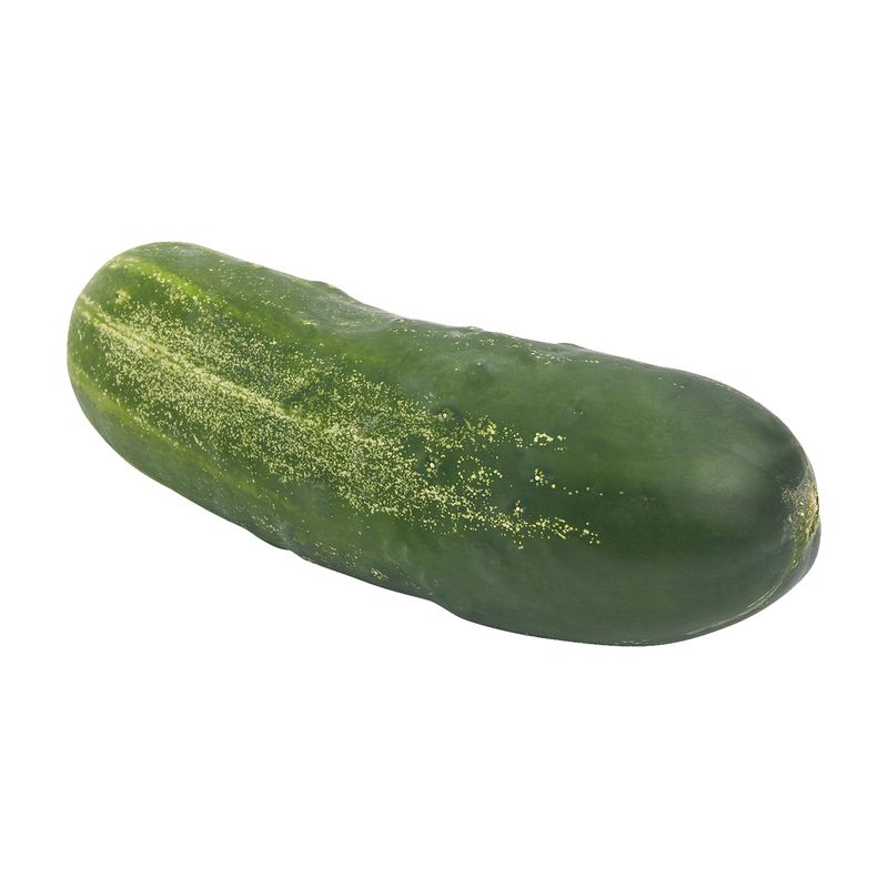 Fresh Kirby Cucumber