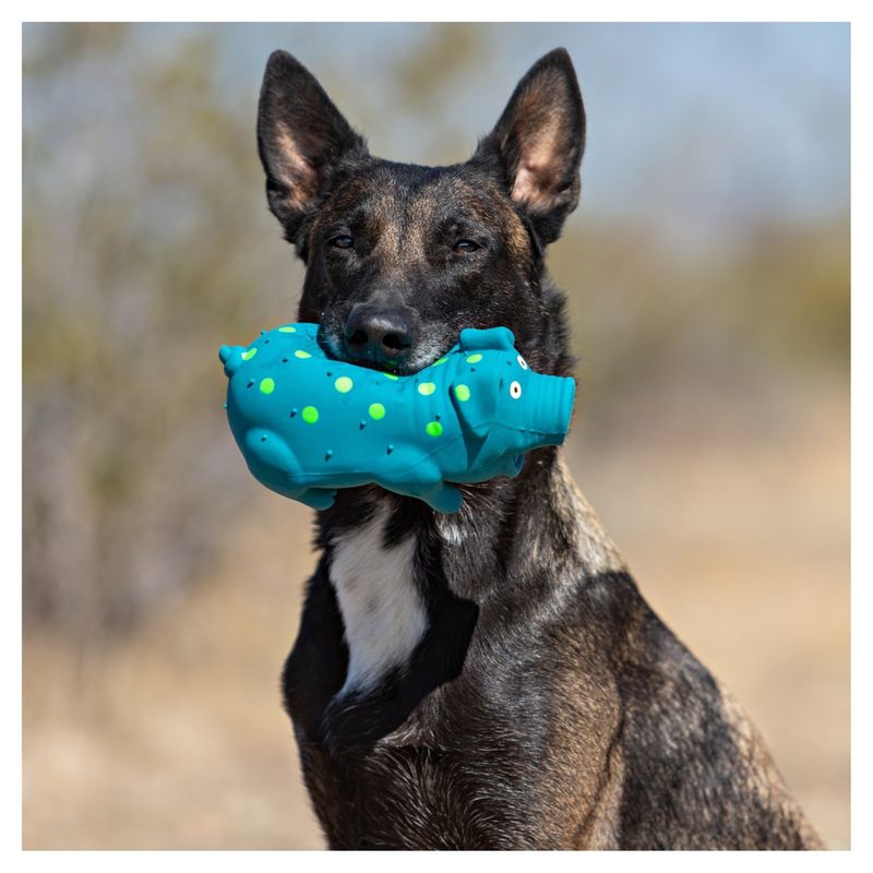 Multipet Squeakables Latex Dog Toy