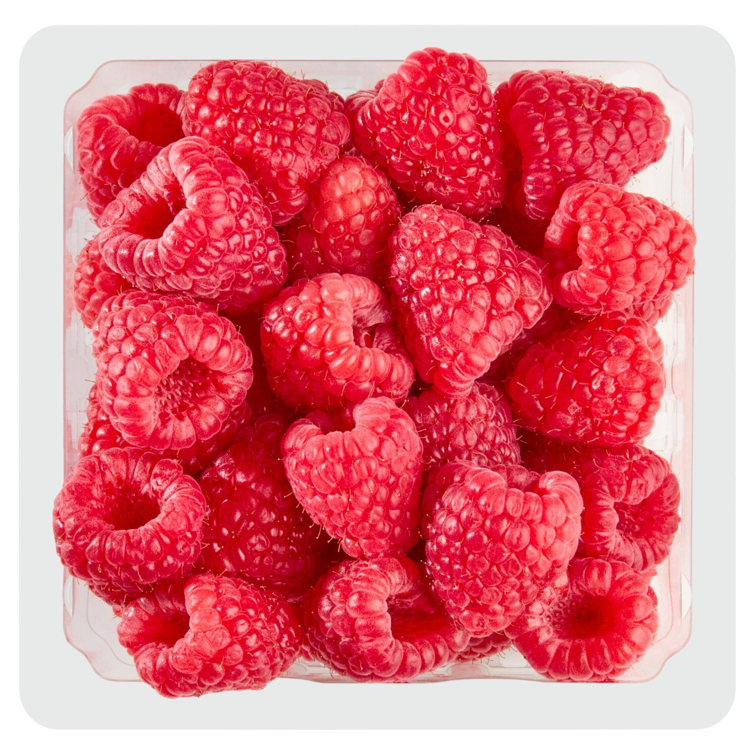 Fresh Raspberries, 6 oz