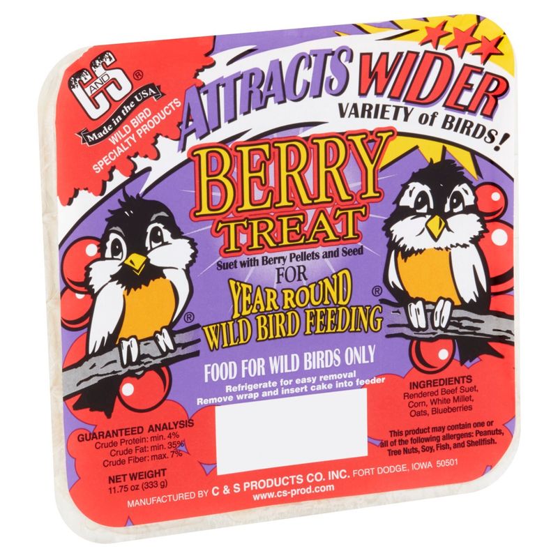 C&amp;S Berry Treat Suet Bird Food, 11.75 oz