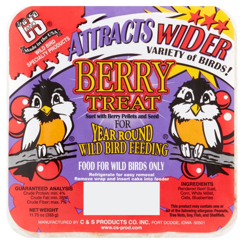 C&amp;S Berry Treat Suet Bird Food, 11.75 oz