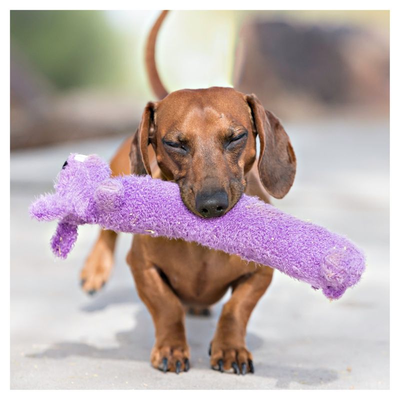 Multipet Loofa Dog Toy