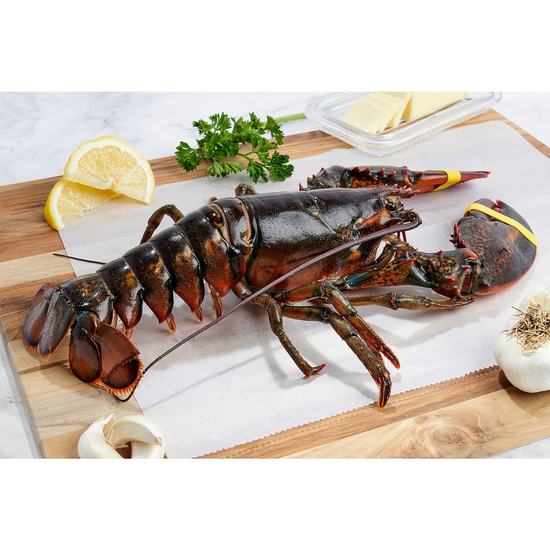 Wild Caught Live Lobsters, 1- 1.25 Pound Average