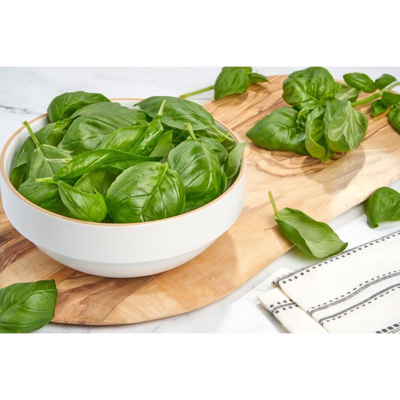 Fresh Hydroponic Basil, bunch