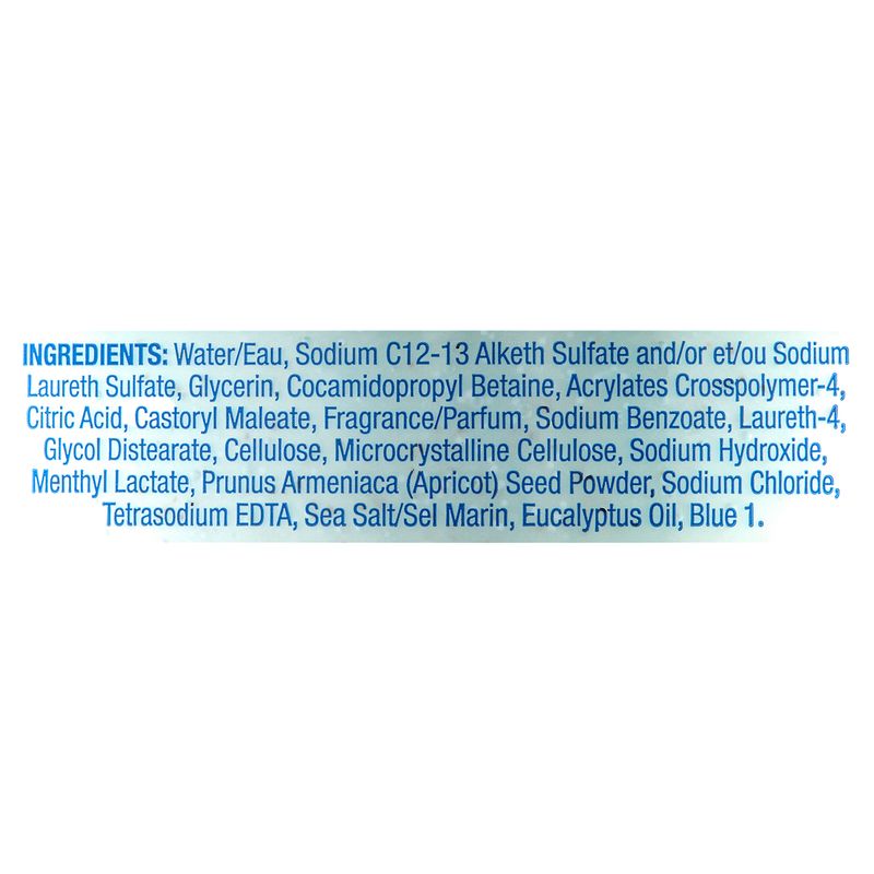 Softsoap Therapy Cooling Eucalyptus &amp; Sea Salt Exfoliating Hand Soap, 11.25 fl oz