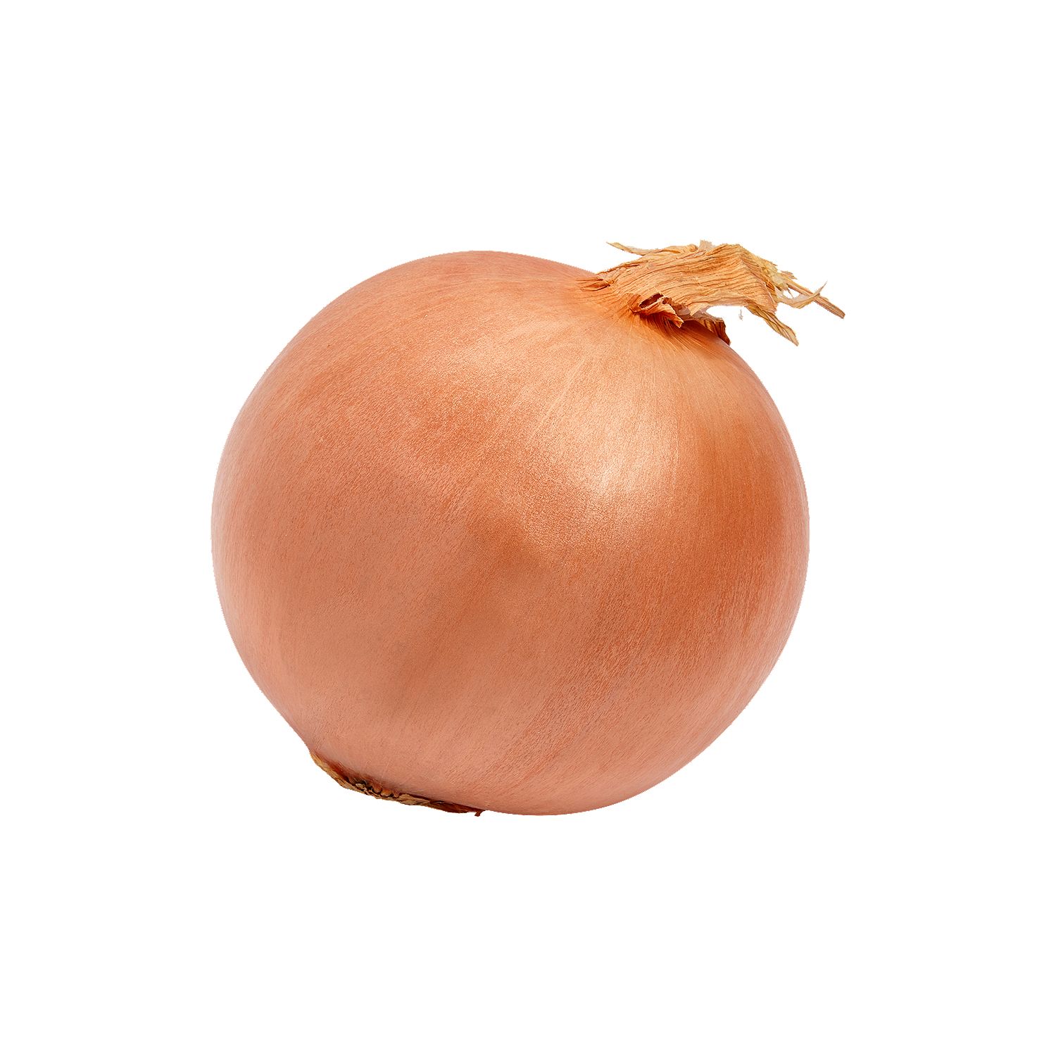 Fresh Sweet Onion