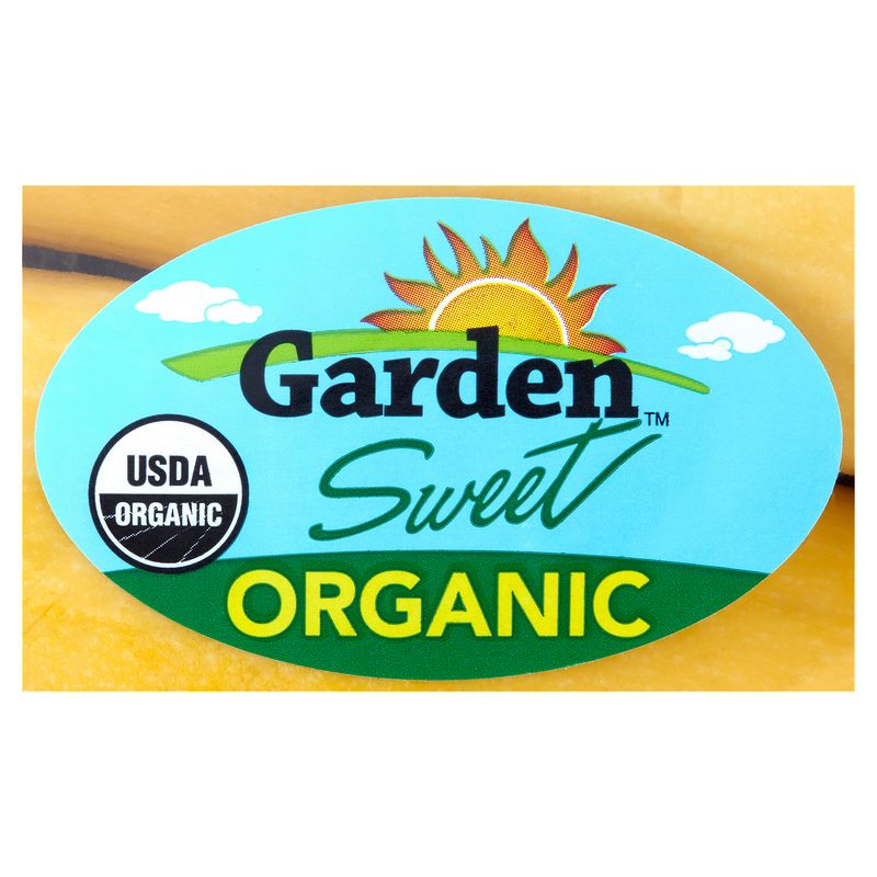 Garden Sweet Organic Yellow Squash, 2 ct, 8 oz