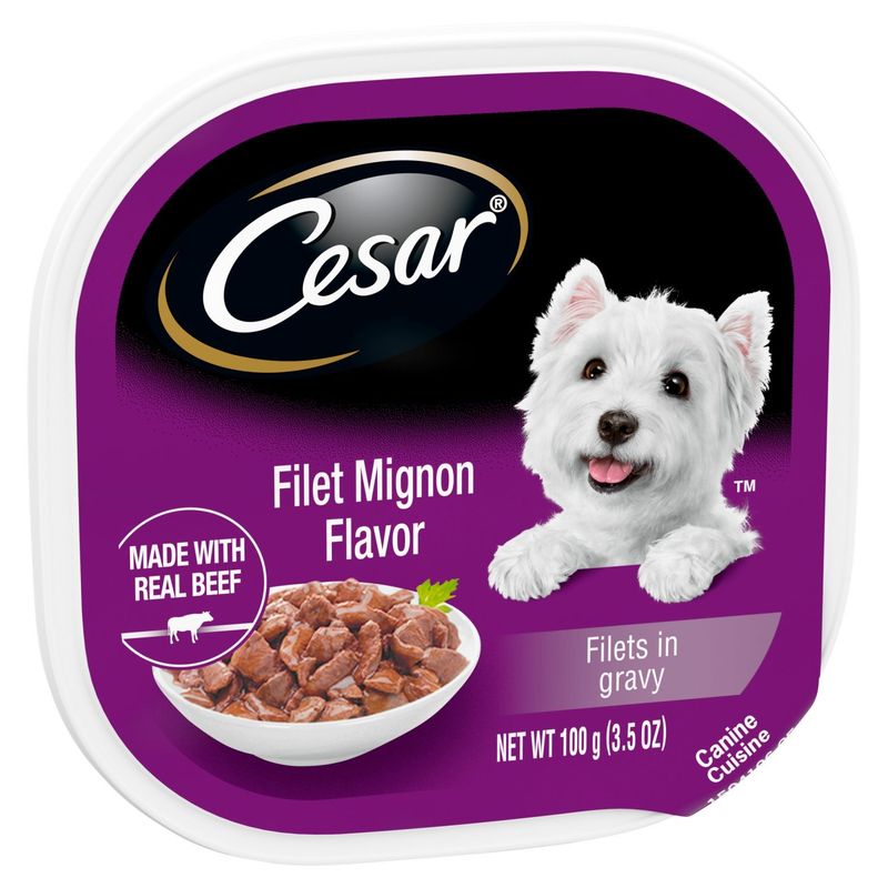 CESAR Adult Soft Wet Dog Food Filets in Gravy Filet Mignon Flavor, (24) 3.5 oz. Trays