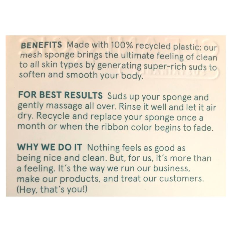 Cleanlogic Recycled Mesh Sponge