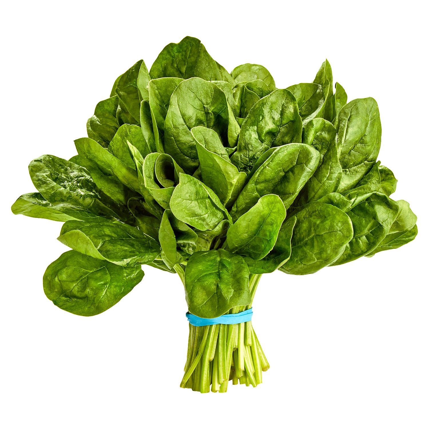 Fresh Spinach, bunch
