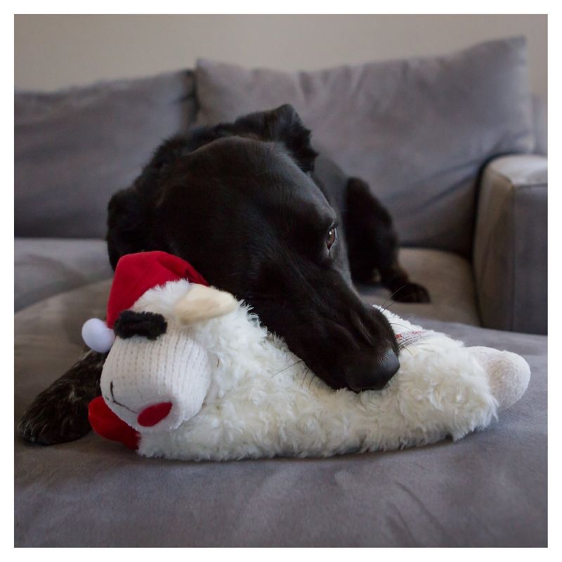 Lamb Chop Dog Toy