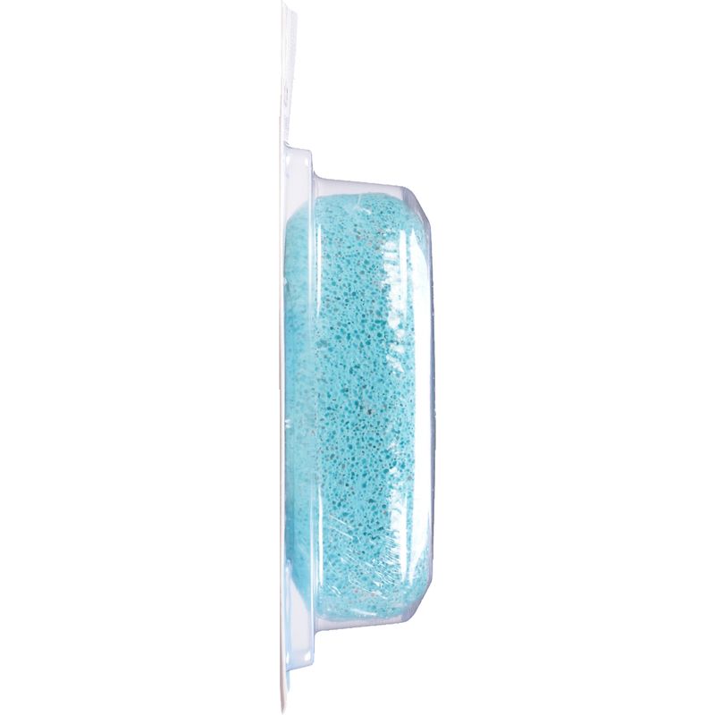 TopCare Pumice Stone, 1 each