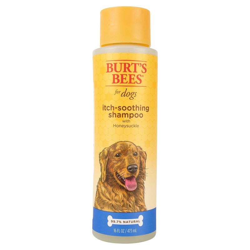 Burt's Bees Itch-Soothing Shampoo for Dogs with Honeysuckle, 16 fl oz