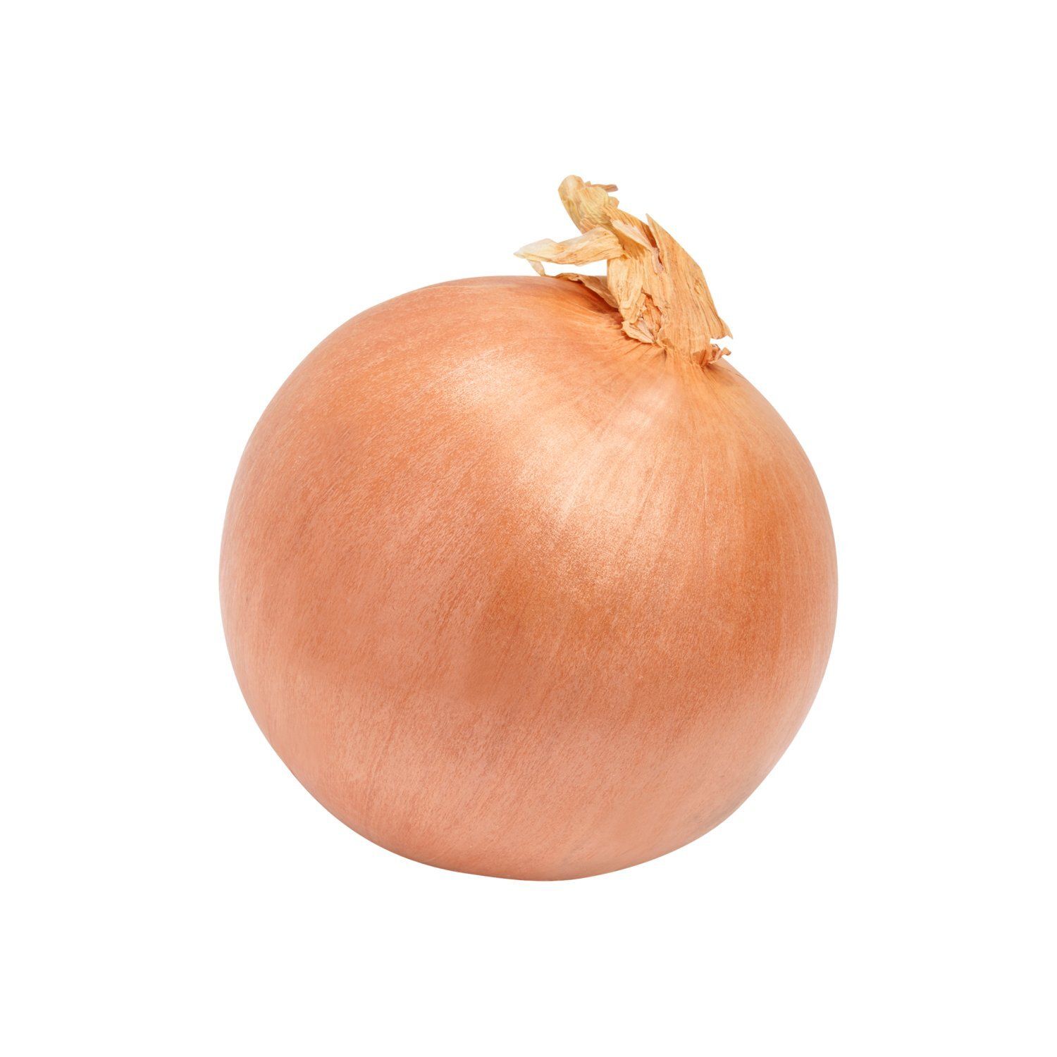 Fresh Sweet Onion