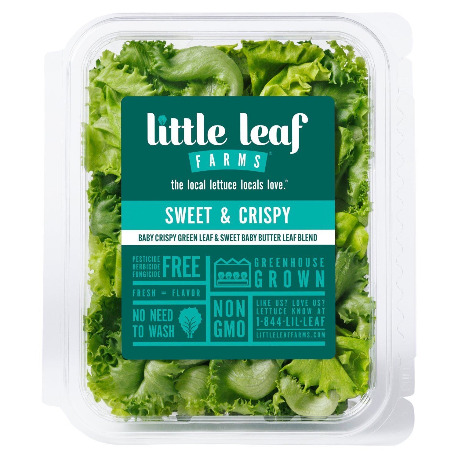 Little Leaf Farms Sweet Baby Butter Leaf &amp; Baby Crispy Green Leaf Blend, 4 oz