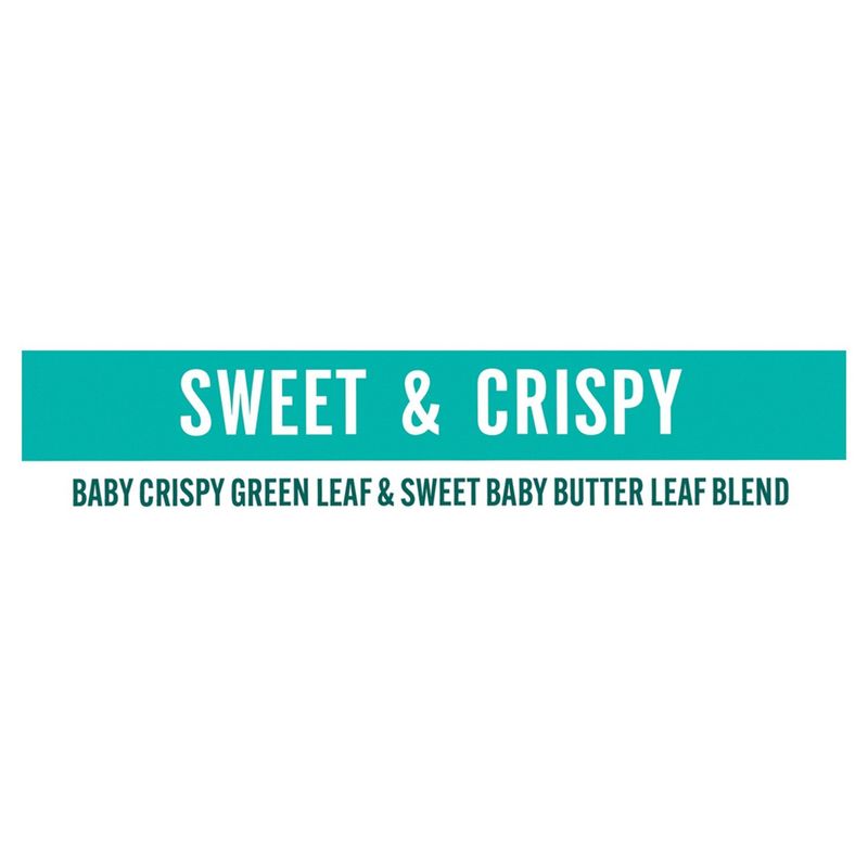 Little Leaf Farms Sweet Baby Butter Leaf &amp; Baby Crispy Green Leaf Blend, 4 oz