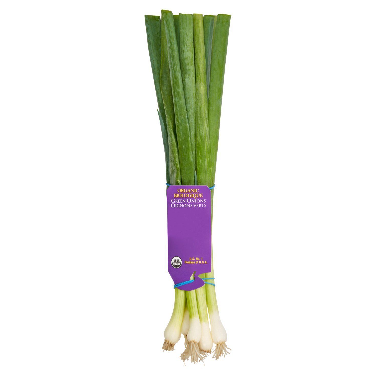 Fresh Organic Green Onions, bunch