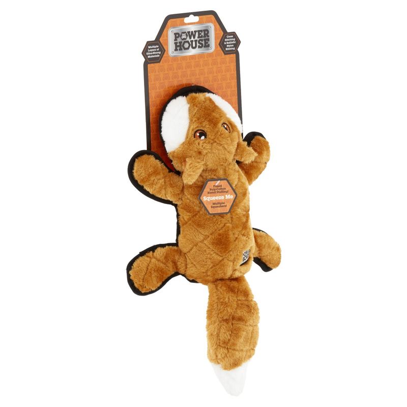 Power House Dog Toy