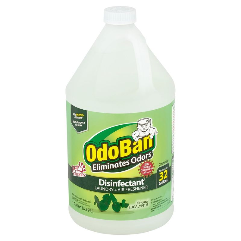 OdoBan Original Eucalyptus Laundry &amp; Air Freshener, 1 gallon