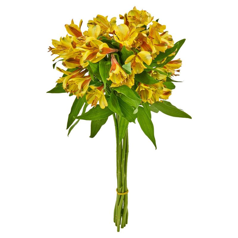 Assorted Yellow/Orange Bunches