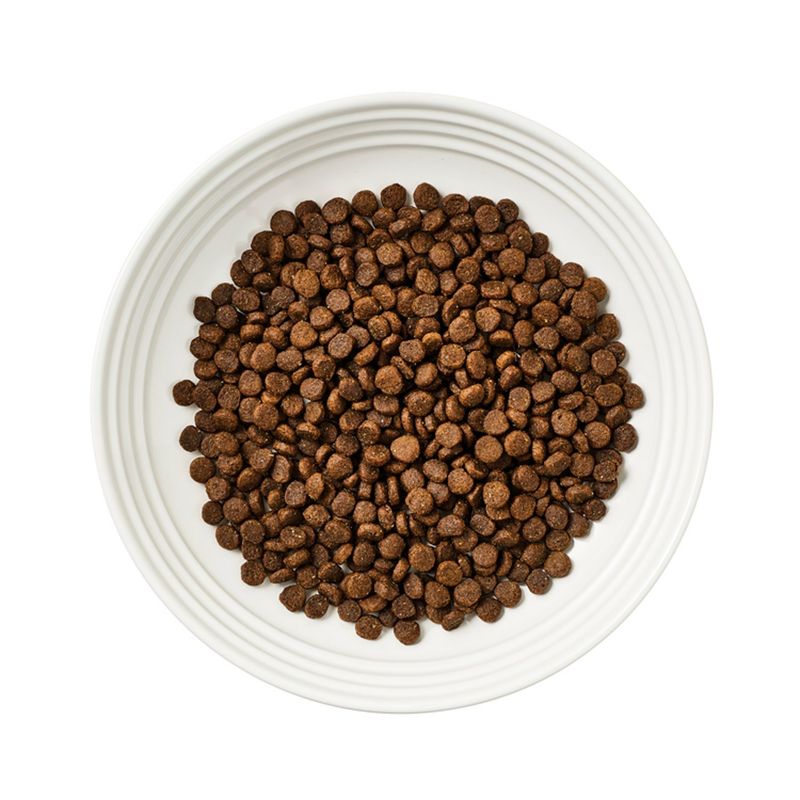 Reveal Grain Free Whitefish Recipe Adult Complete Cat Food, 3 lb