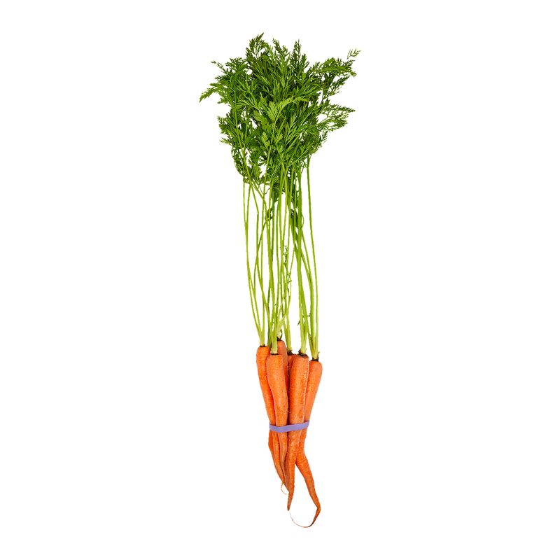 Fresh Carrots, bunch