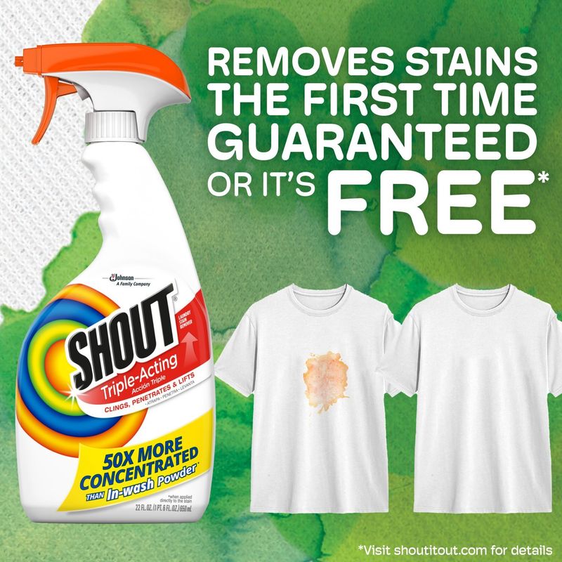 Shout Triple Acting Laundry Stain Remover, 22 fl oz