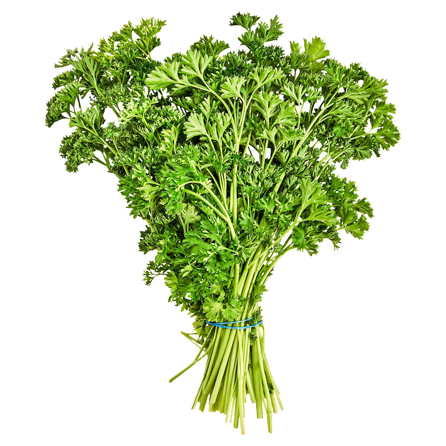 Fresh Organic Curly Parsley, bunch
