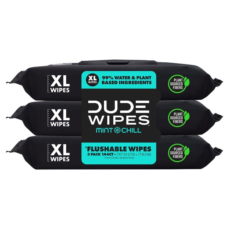 DUDE Wipes Mint Chill with Mint &amp; Eucalyptus Oils XL Flushable Wipes, 3 Pack, 144 Count
