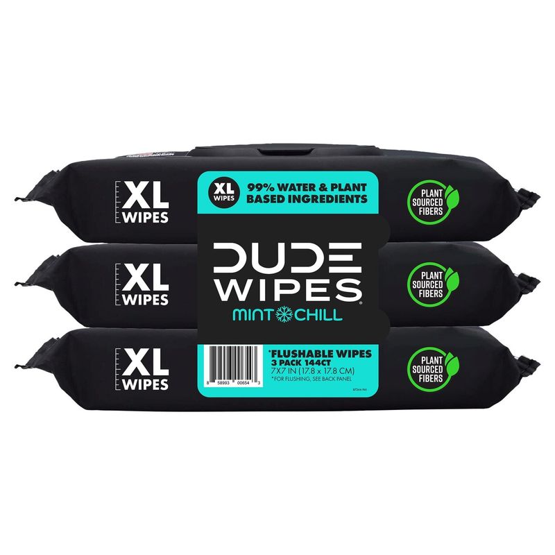 DUDE Wipes Mint Chill with Mint &amp; Eucalyptus Oils XL Flushable Wipes, 3 Pack, 144 Count