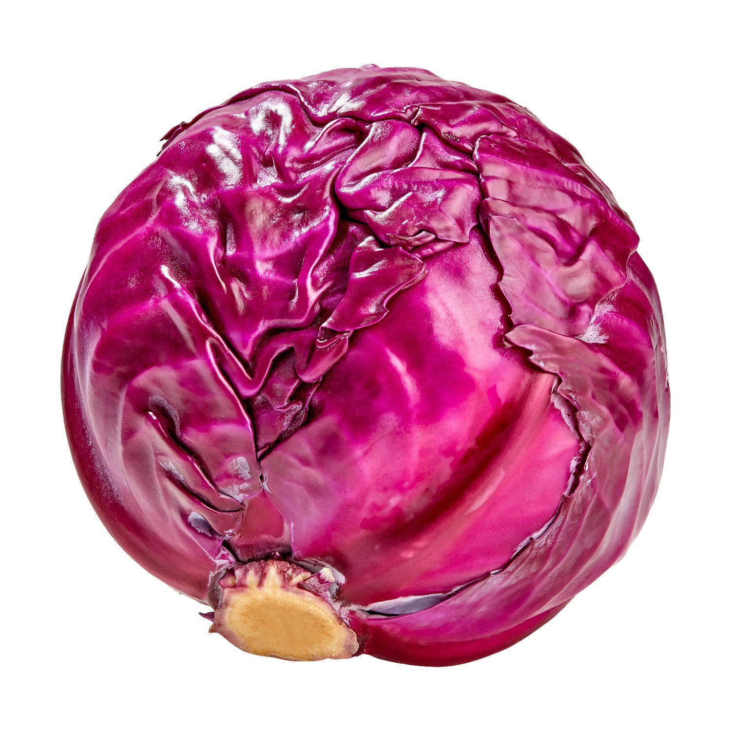 Fresh Red Cabbage