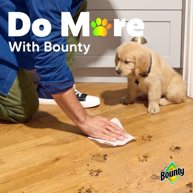 Bounty Mega Paper Towel Rolls, 6 count