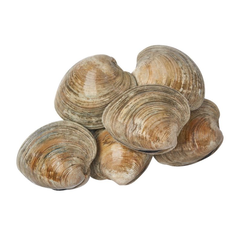 Fresh Cherrystone Clams, Wild Caught, 12 count