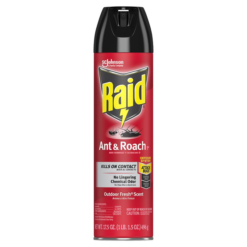 Raid Ant &amp; Roach 26, Aerosol Bug Spray Kills on Contact, Outdoor Fresh Scent, 17.5 oz