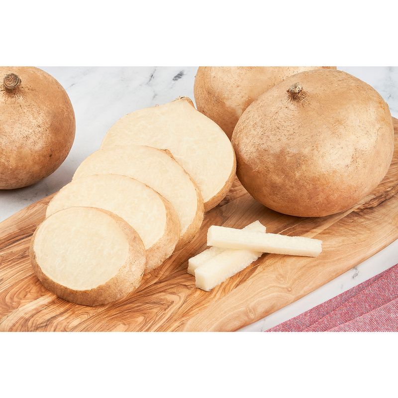 Fresh Jicama Vegetable