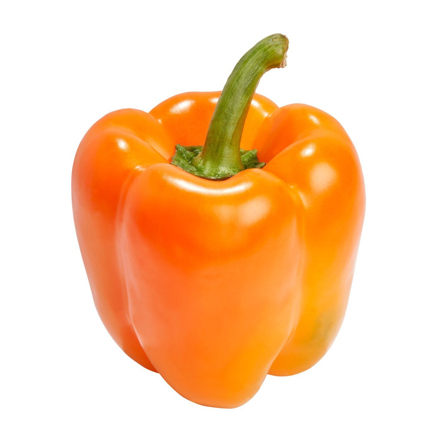 Fresh Hot House Orange Pepper
