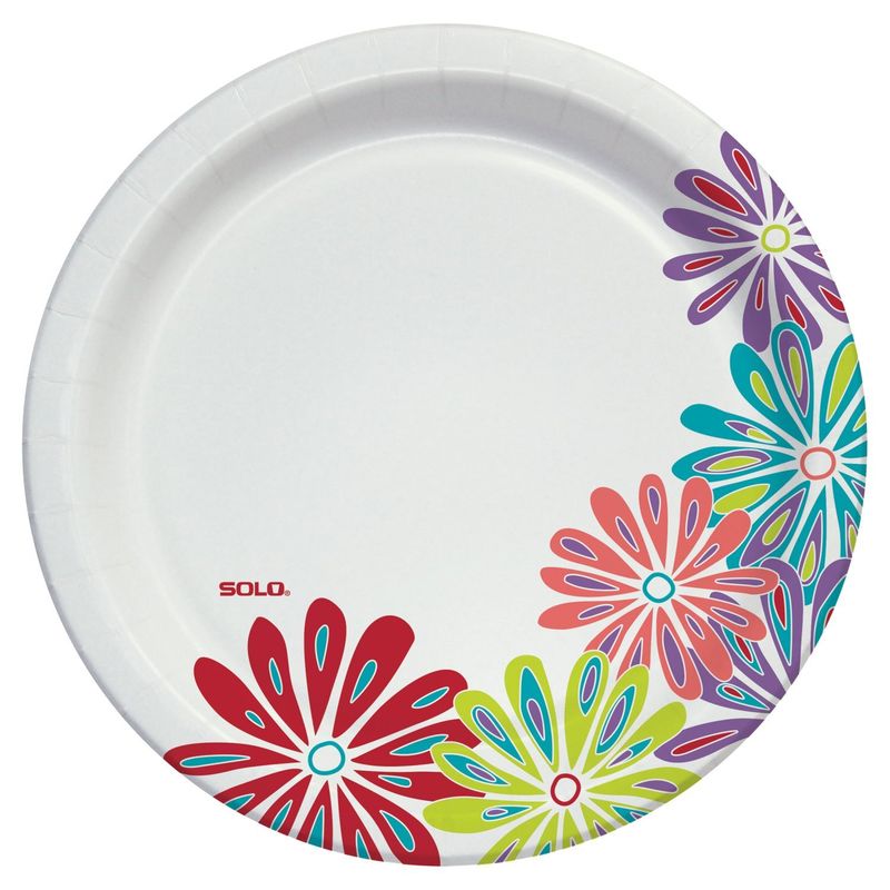 Solo Up for Anything Any Day 10 in Paper Plates, 88 count