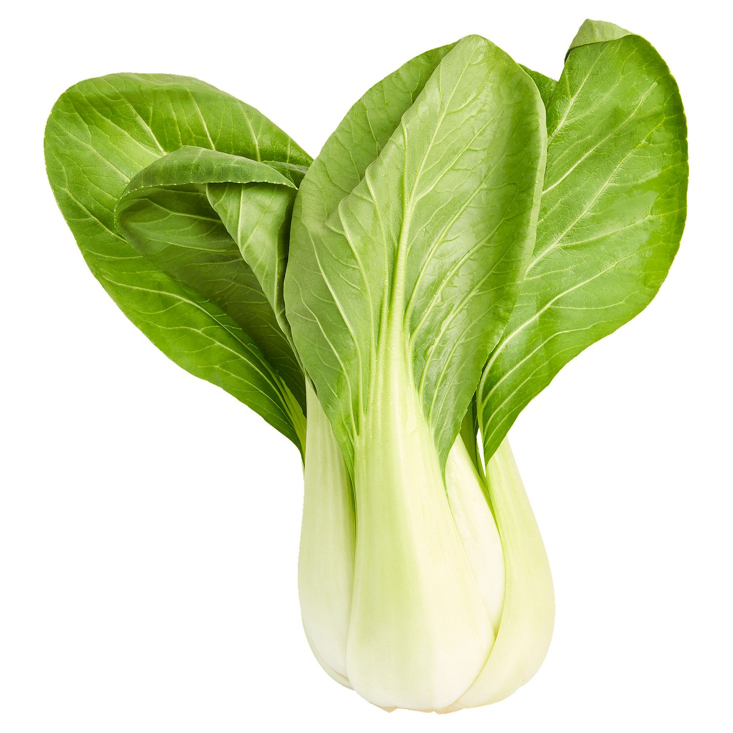 Fresh Baby Bok Choy