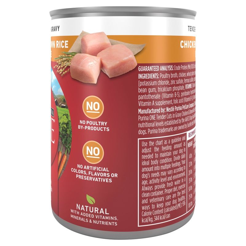 Purina ONE Tender Cuts in Gravy Chicken &amp; Brown Rice Entrée Adult Dog Food, 13 oz
