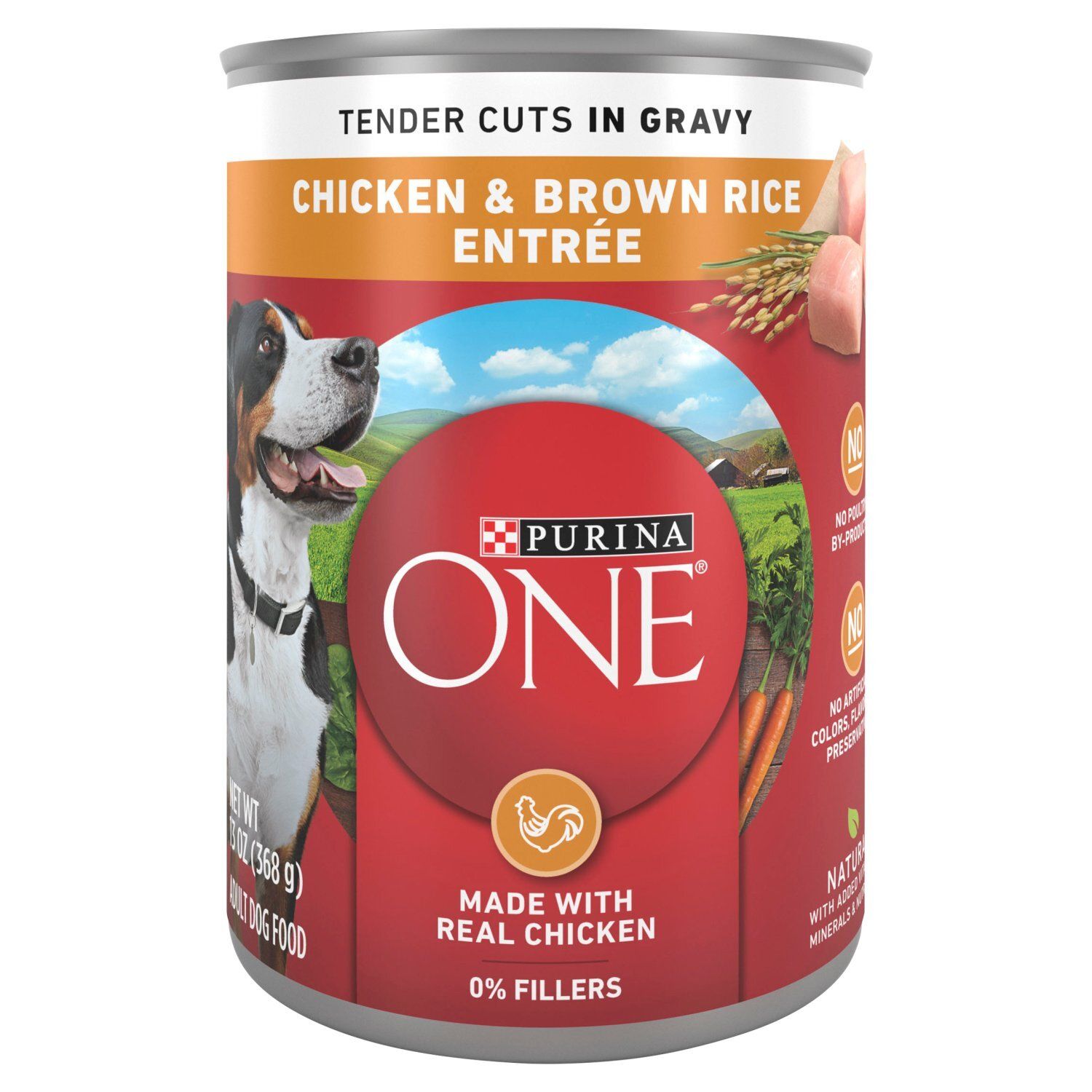 Purina ONE Tender Cuts in Gravy Chicken &amp; Brown Rice Entrée Adult Dog Food, 13 oz