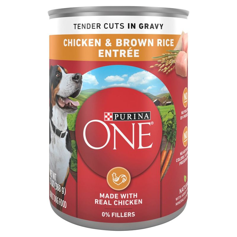 Purina ONE Tender Cuts in Gravy Chicken &amp; Brown Rice Entrée Adult Dog Food, 13 oz