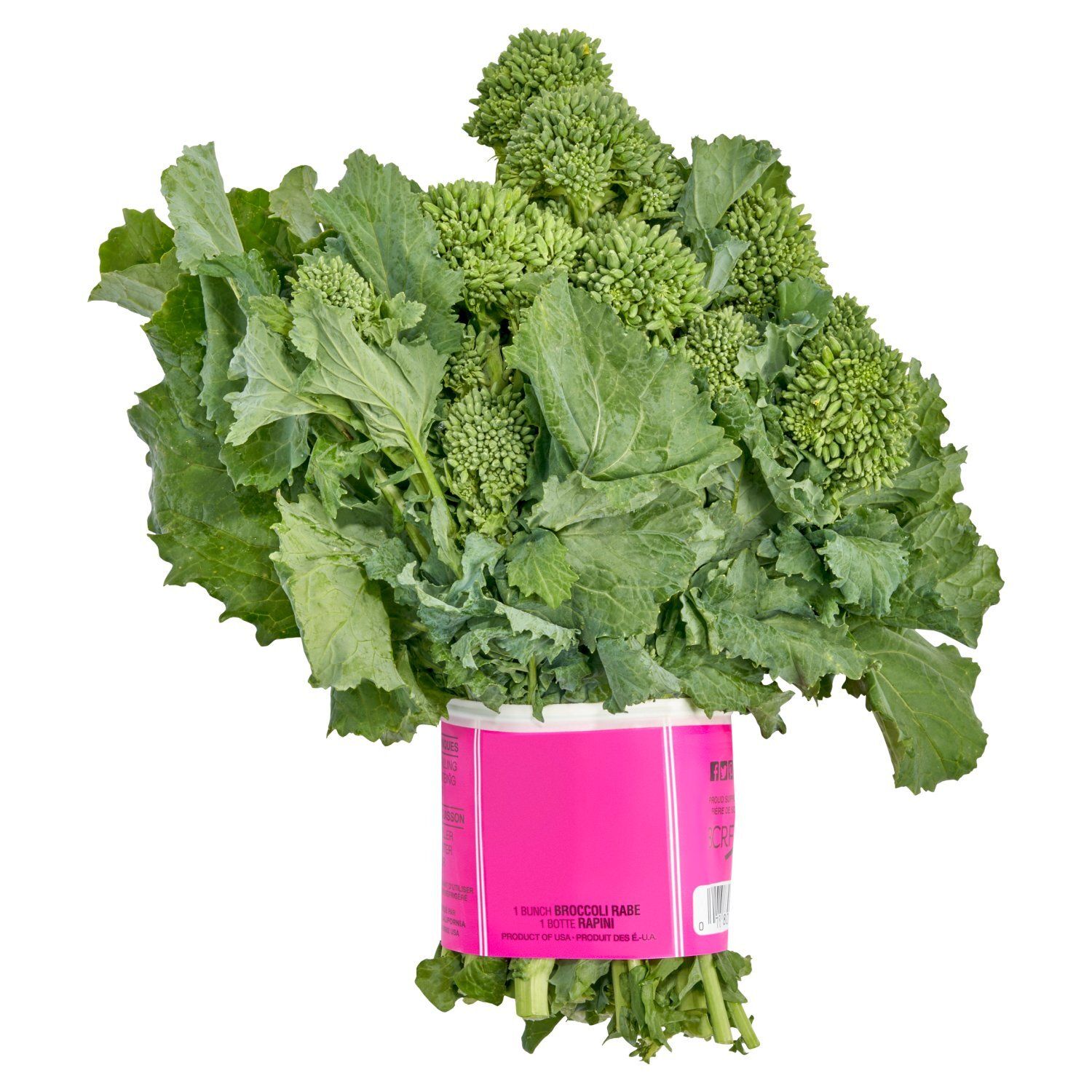 Fresh Broccoli Rabe