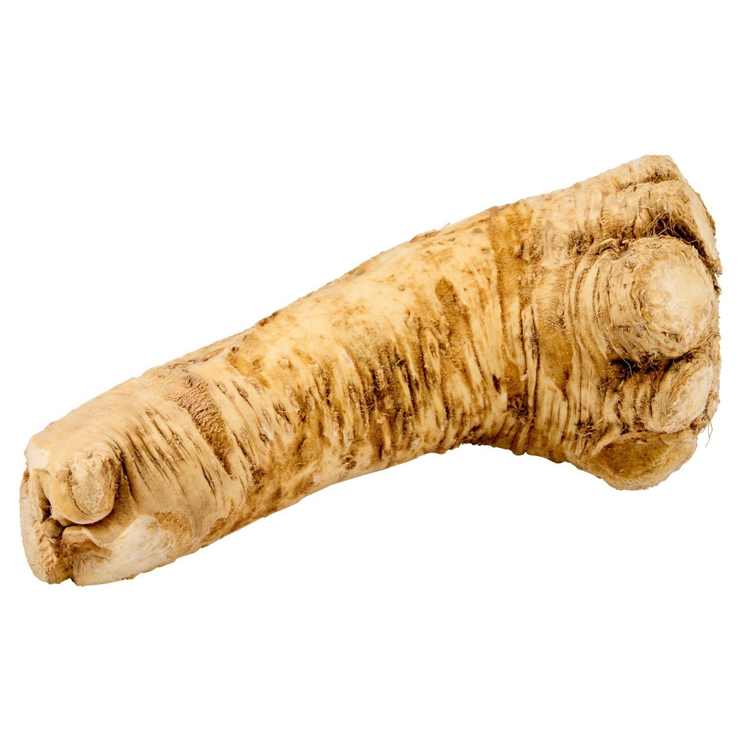 Fresh Horseradish