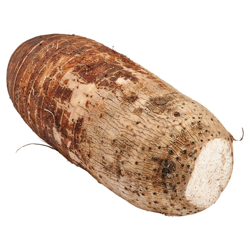 Fresh Malanga Coco