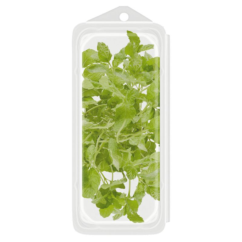 Wholesome Pantry Organic Mint, 0.66 oz