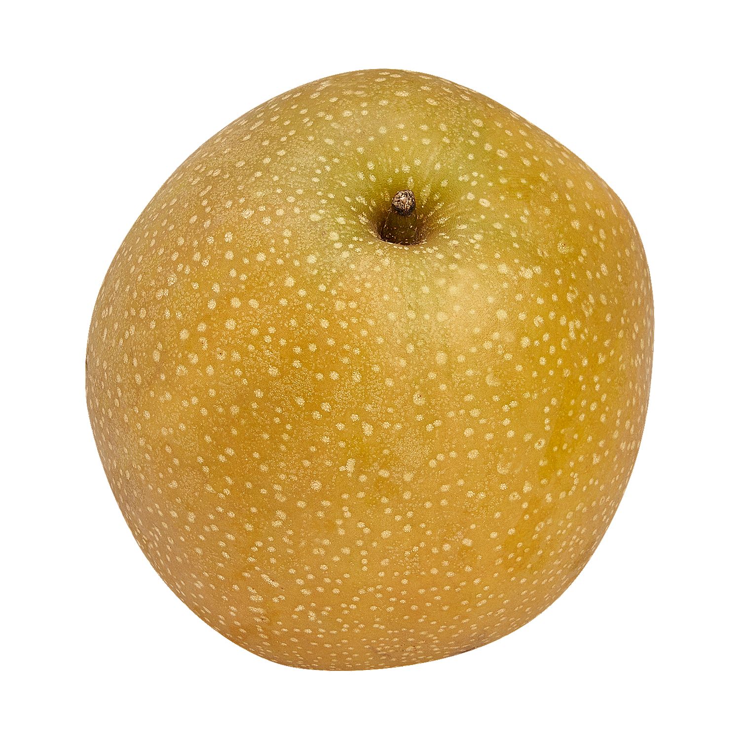 Fresh Asian Pear, each