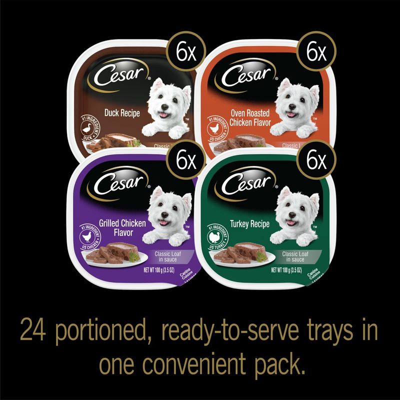 Cesar 4 Flavors Canine Cuisine Dog Food, 3.5 oz, 24 count